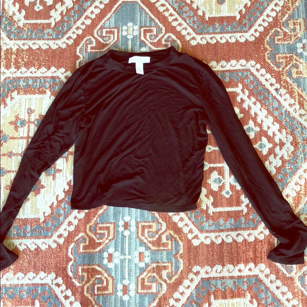 Long sleeve crop top